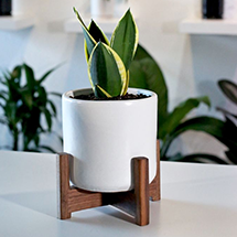 Ceramic Desk Planter